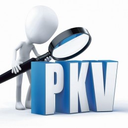 PKV-Figur-sucht-mit-Lupe